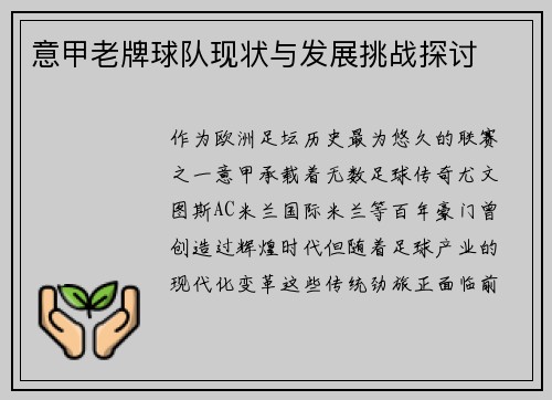 意甲老牌球队现状与发展挑战探讨
