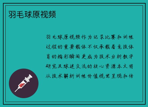 羽毛球原视频