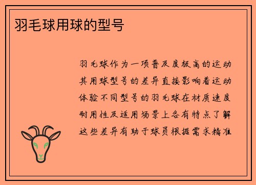 羽毛球用球的型号